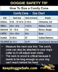 All Four Paws Comfy Cone E Collar For Dogs