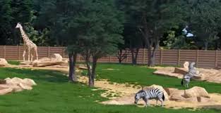 Городской зоопарк открылся после пяти лет реконструкции. Harkovskij Zoopark Potratit Eshe Dva Milliona Griven Na Avstraliyu Afriku I Yuzhnuyu Ameriku