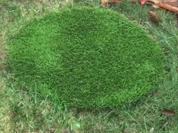 Grass Drain Cover Artificial Grass
