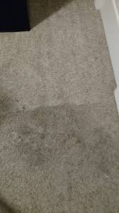 all american carpet cleaning reviews