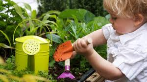 Gardening For Kids Cbeebies Bbc