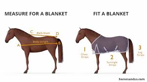 how to measure and fit a horse blanket