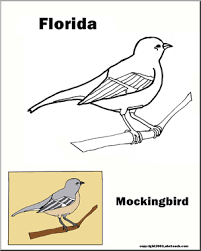 florida state bird mockingbird