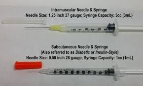 Hcg Syringes With Needles Attached 40 Or 80