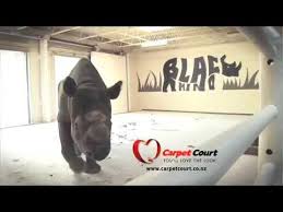 99 poaches the rhino with carpet court