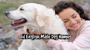old english male dog names majestic