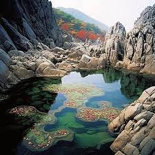 Rock Pool In Seolmaegun Background