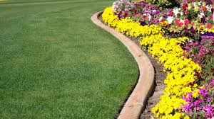 The Best Way To Edge Your Curved Lawn