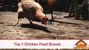 Top 7 Chicken Feed Brands