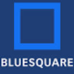 Blue Square:  'NELL’S SEASON'