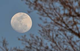Full March worm moon of 2021 to shine this weekend. 3 supermoons to follow.  - nj.com