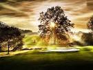 Golf Guide Coburg: Golf Courses and Driving Ranges in Coburg ...