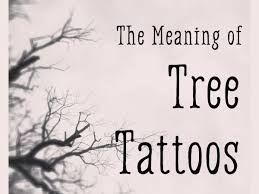 Photograph of leopard (panthera pardus) up a tree at sunset. The Meaning Of Tree Tattoos Tatring