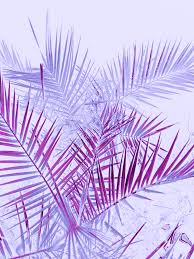 Pastel Purple Background Aesthetic ...