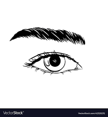 hand drawn beautiful female eye sketch