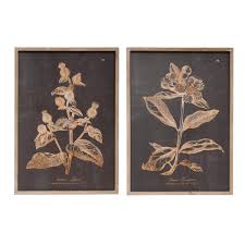 Framed Botanical Art