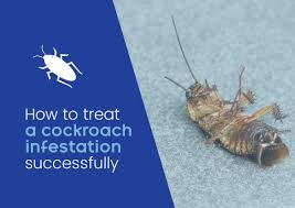 how to treat roach infestation
