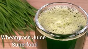 wheatgr juice healthy food