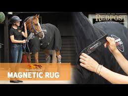 the equilibrium therapy magnetic rug