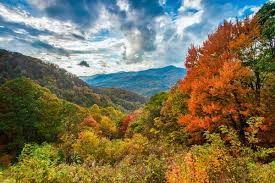 Fall Colors Blue Ridge Parkway U S National Park Service