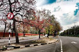 one day chandigarh sightseeing trip by