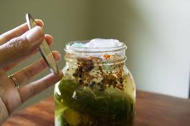easy fermented pickles packed with