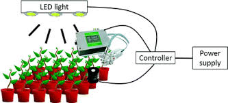 Optimizing Led Lighting In Controlled Environment Agriculture Springerlink