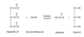 Transesterification Chemical Equation
