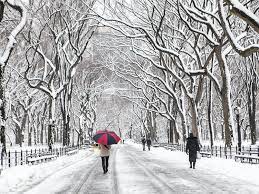 nyc in winter best activities things
