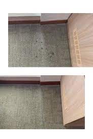 carpet rug cleaning clean care