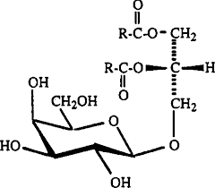 glycolipids based on their lipid moieties