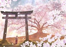 sakura anime cherry blossom pink hd