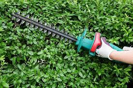 9,722 Hedge Trimmer Stock Photos, Pictures & Royalty-Free Images