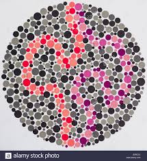 Ishihara Color Vision Test Plates Used For Color Blindness