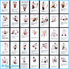 bodybuilding workout chart for