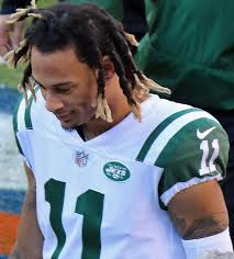 Robby Anderson Wikipedia