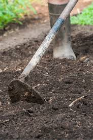 Recharge Your Garden Soil This Fall