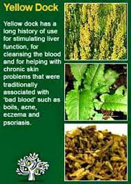psoriasis t psoriasis herbs