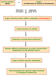 Flow Chart For The Generation Of Sugar Alcohol Specific Igg