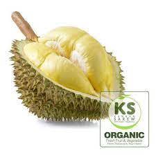 Durian Monthong : ทุเรียนหมอนทอง – KS Organic Farming LTD.