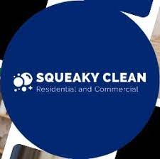 squeaky clean residential commercial