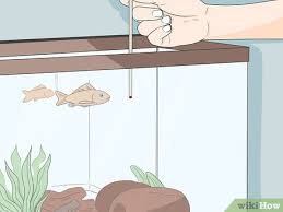 3 ways to enjoy having pet fish wikihow