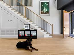 is cork flooring durable with dogs