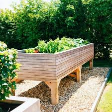 Extra Large Larch Vegetable Trough On