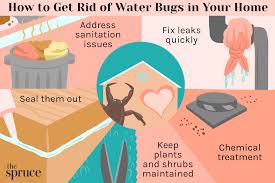 how to get rid of water bugs in your home