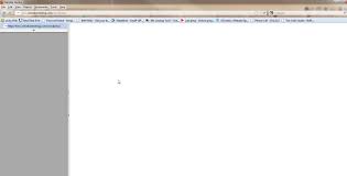 blank page problem in wordpress