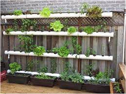 Since all gardens are different and our plants are much taller now, but have enough vertical support that they're growing completely. 41 Diy Pvc Vertical Garden 43 Growing A Vertical Garden And Ideas To Get You Started 2 Vertical Herb Garden Vertical Vegetable Garden Vertical Garden Diy