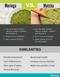 moringa benefits powder tea dosage