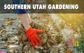 Southern Utah Gardening Fall Yard