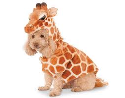 Giraffe Hoodie For Pet